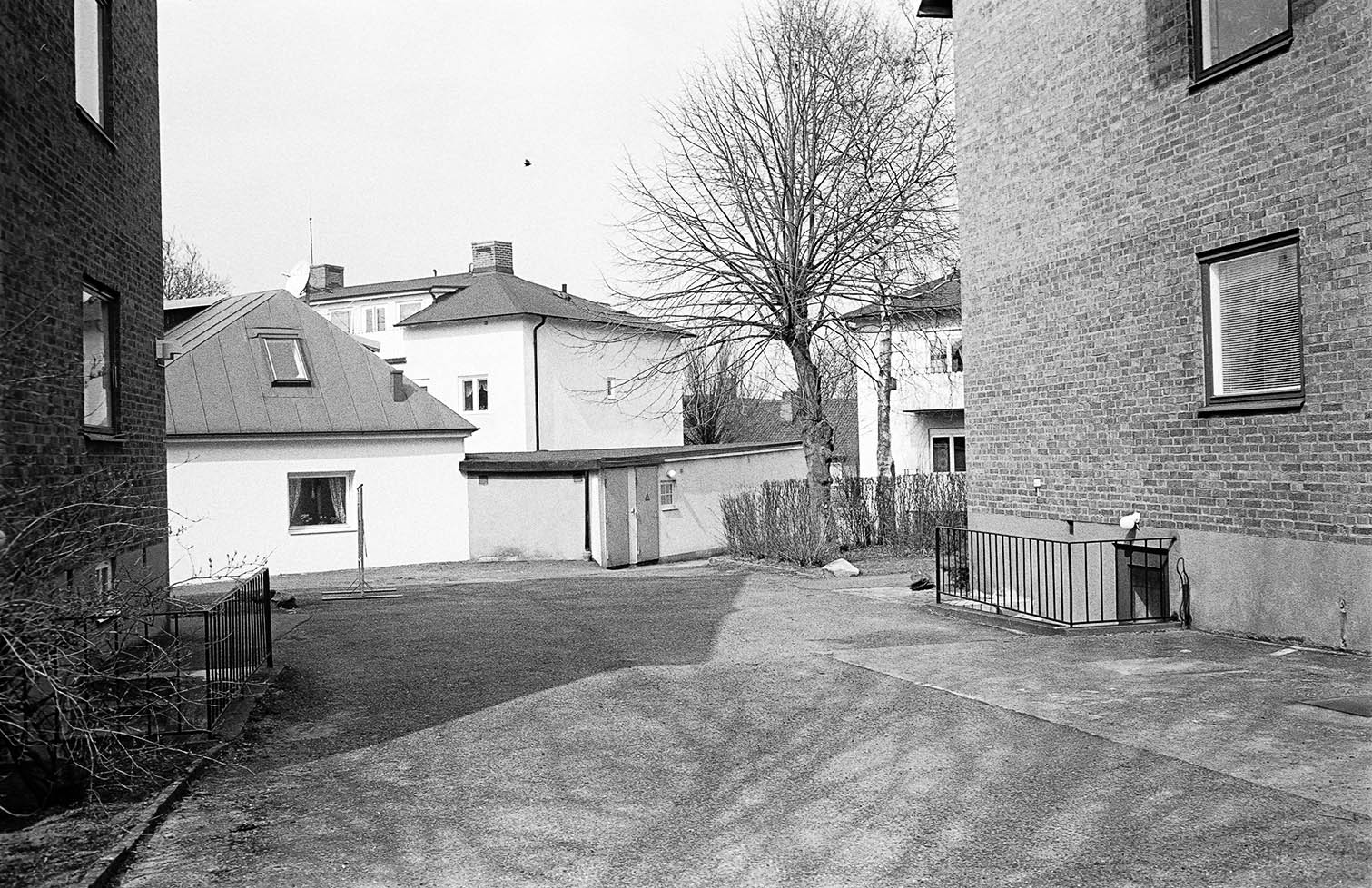 Bakgård Tomelilla