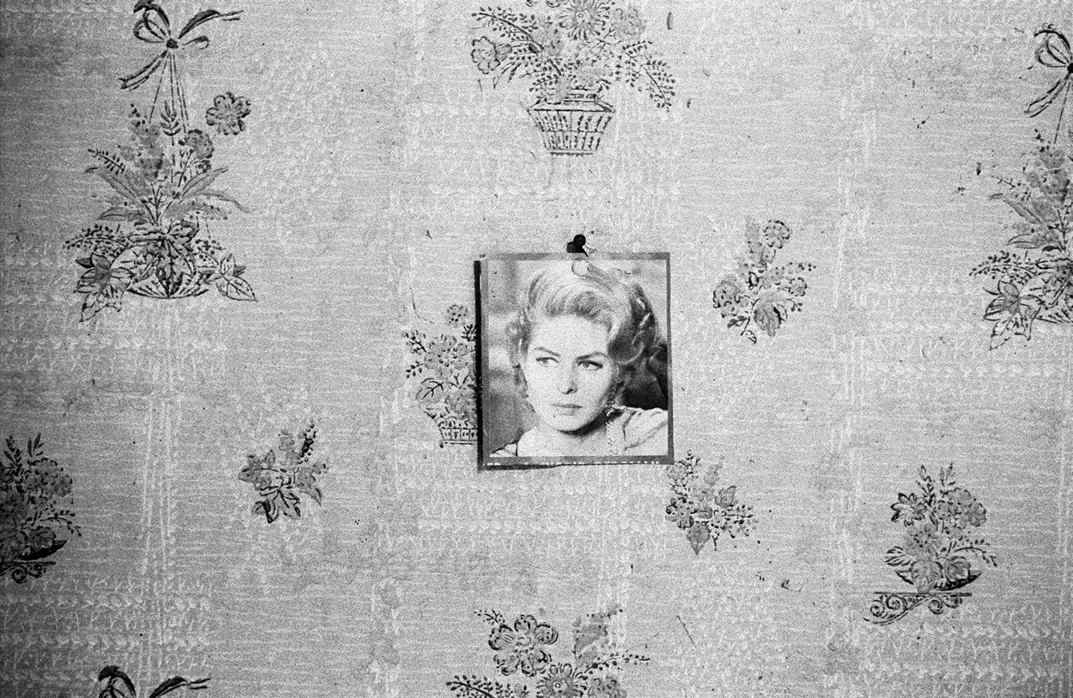 Bild av Ingrid Bergman på gammal vägg
